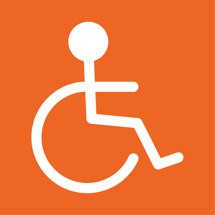 Logo pro handicap - fyzický