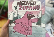 Medvěd v županu