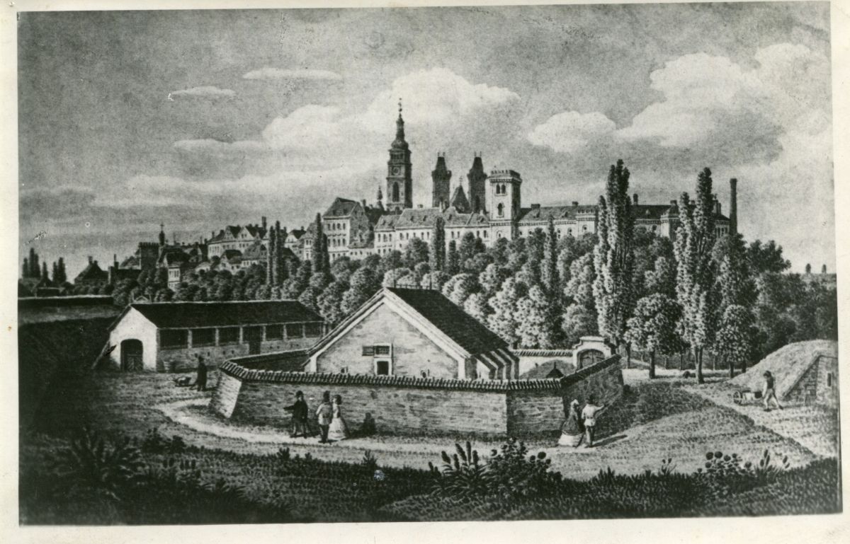 HRADECKÉ ZAJÍMAVOSTI