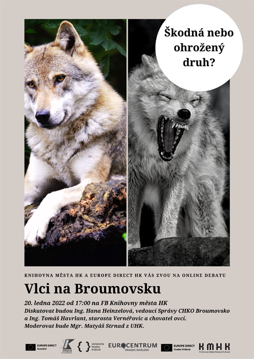 Vlci na Broumovsku