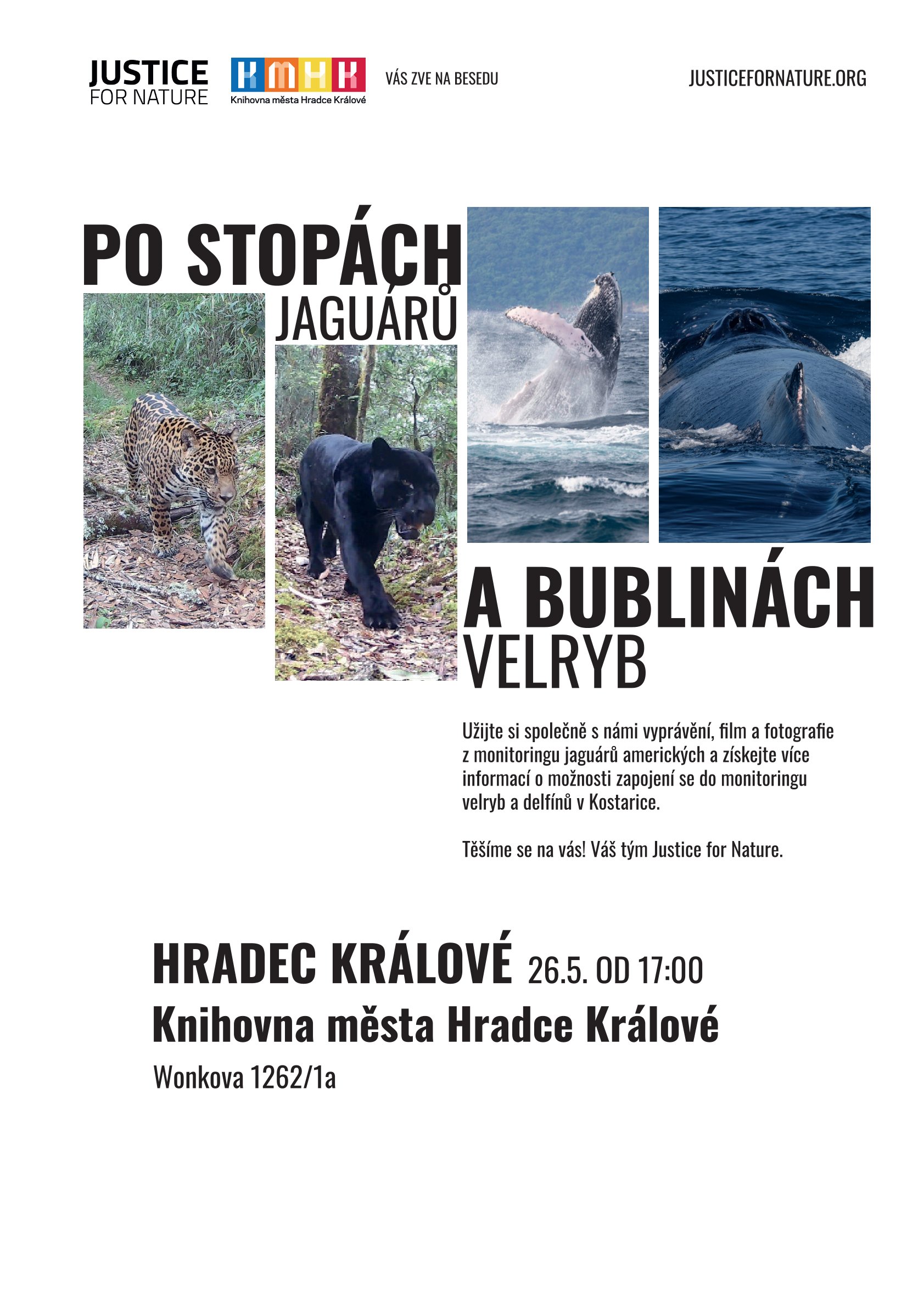 Po stopách Jaguárů a bublin velryb